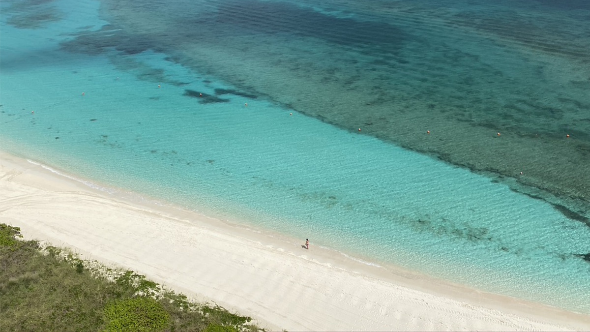 More New York-Nassau Flights 