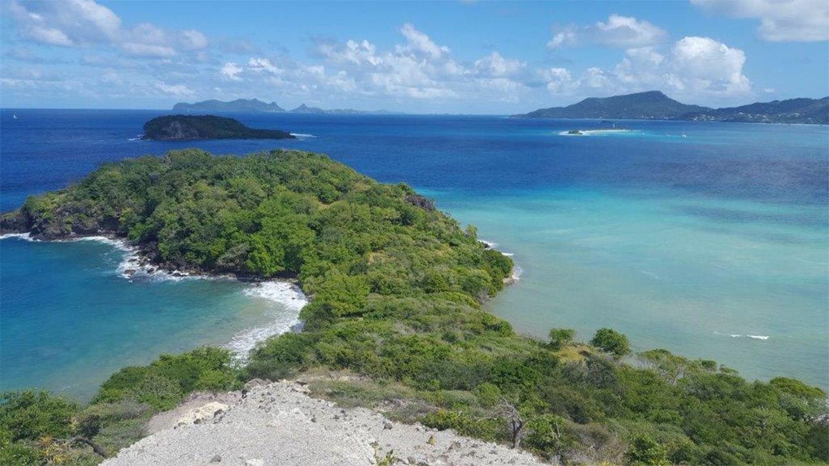 Caribbean Photo of the Week: Enjoying the View in Carriacou