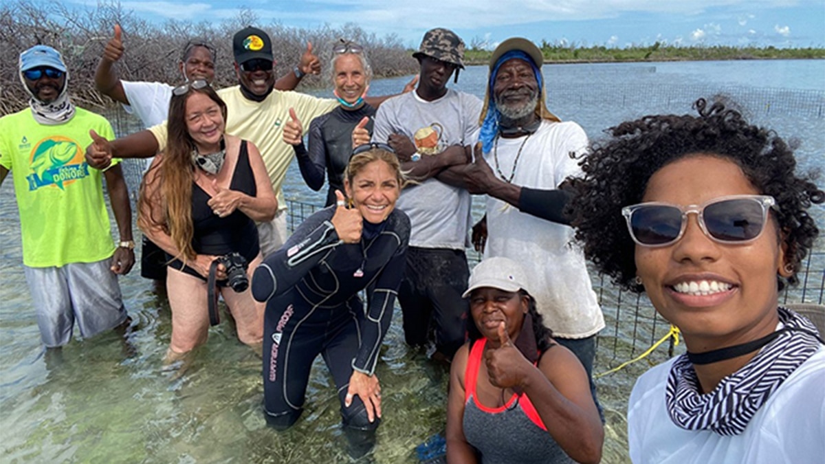 In The Bahamas, A New Kind of Conch Farm 