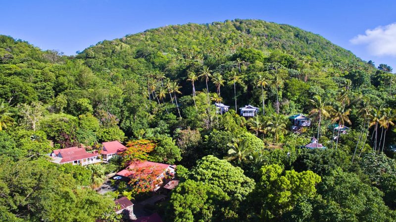 Small Caribbean Hotel of the Week: An Eco-Escape in Saint