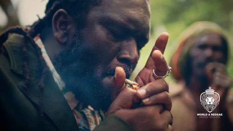Herb Dealer