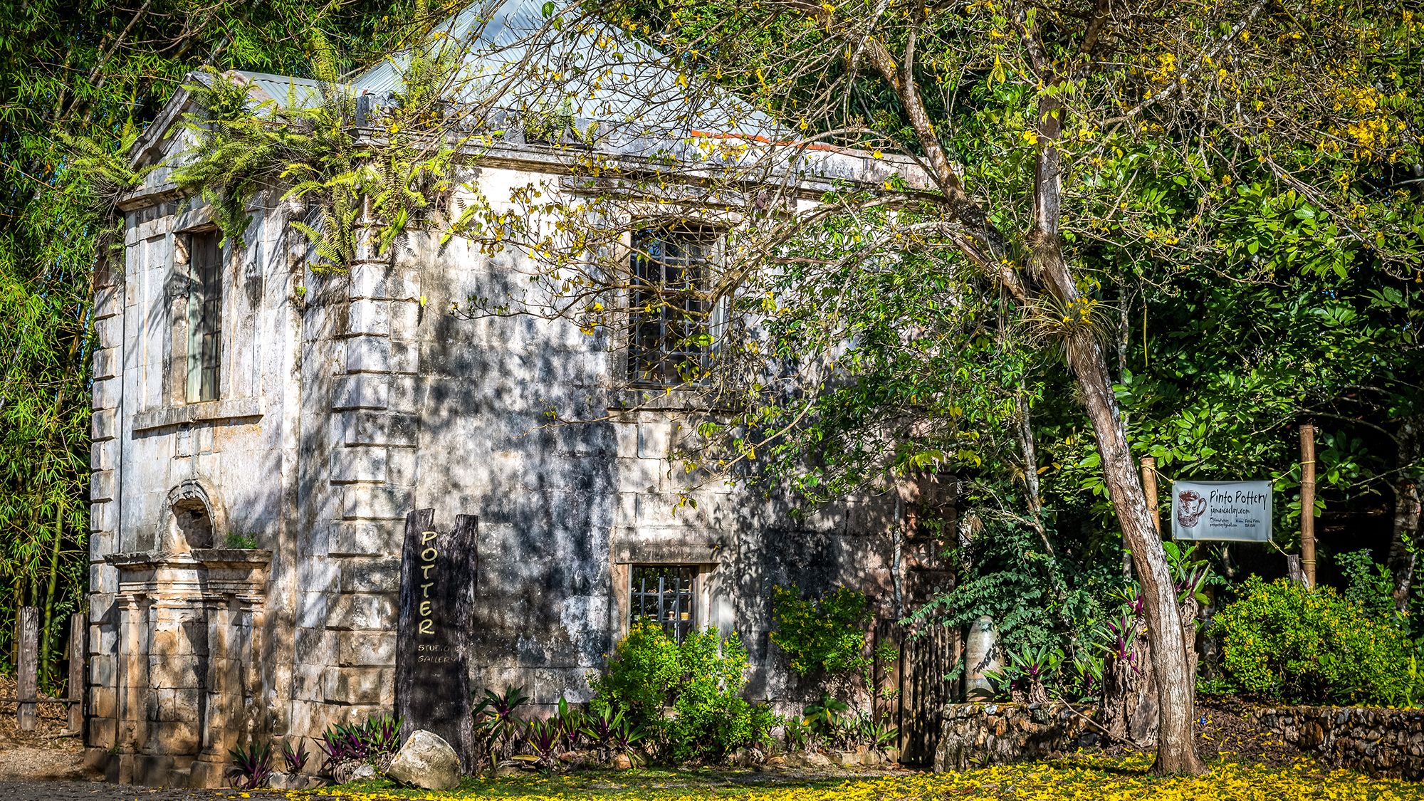 Your Guide To Exploring Good Hope Estate, Jamaica