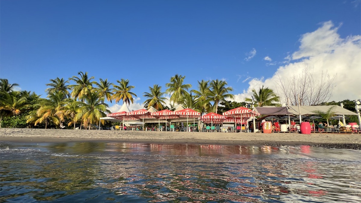 Air Canada Launches First Ever TorontoMartinique Flights Caribcast