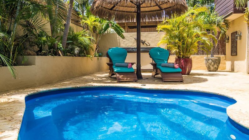 Bonaire Tourism Arrivals Keep Climbing 