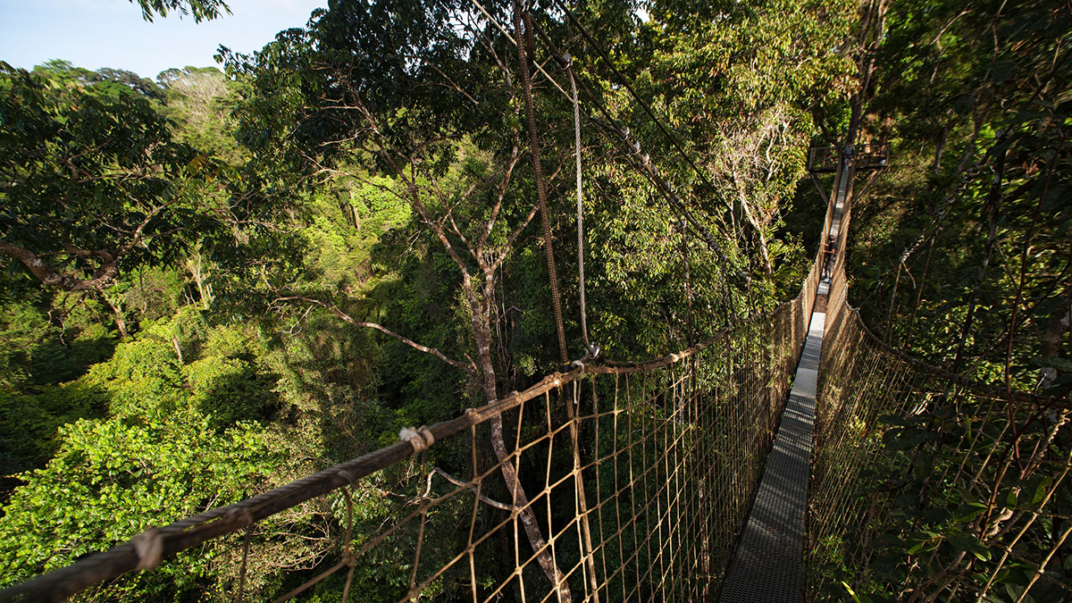 Air France Is Adding New French Guiana Flights 