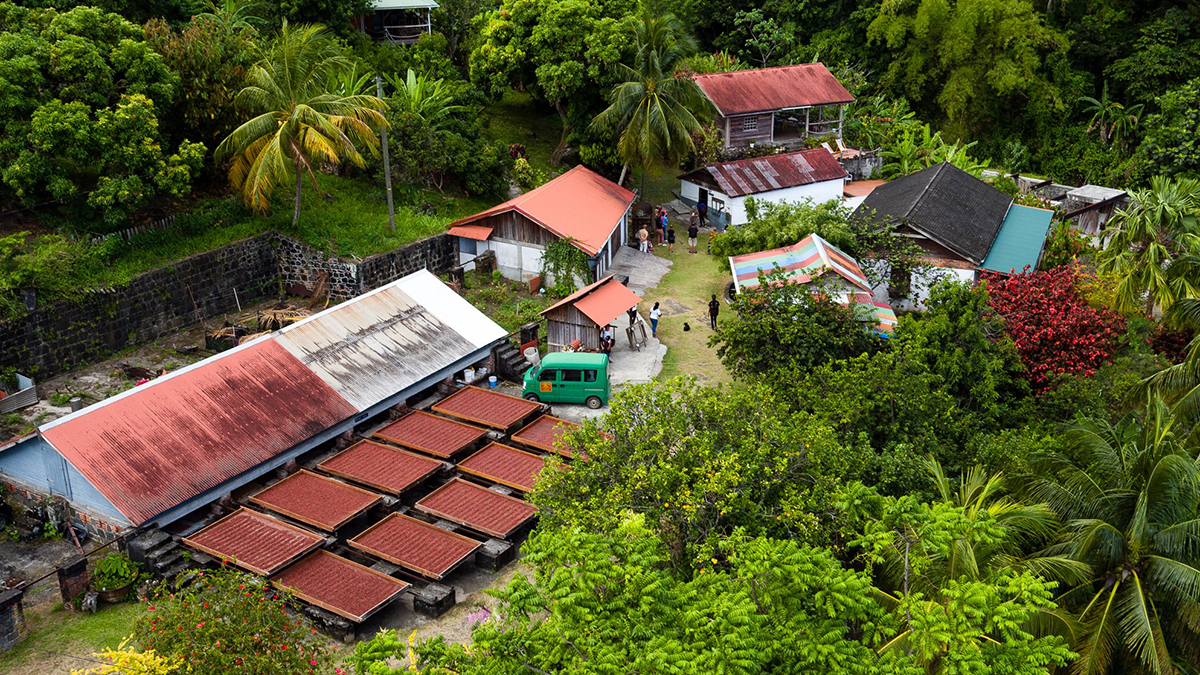 The Caribbean’s Top Chocolate Festival Is Back