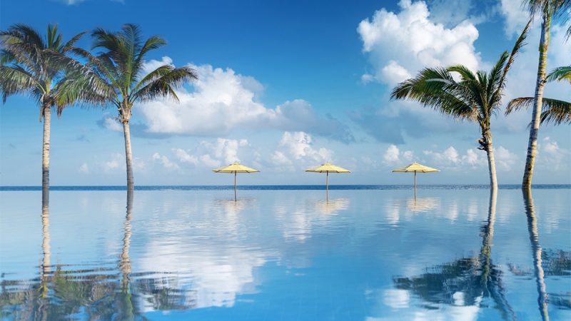 “The Best Winter Season Jamaica Has Ever Had” 