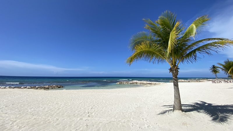 Jamaica Tourist Board Names New Executive for Americas Region