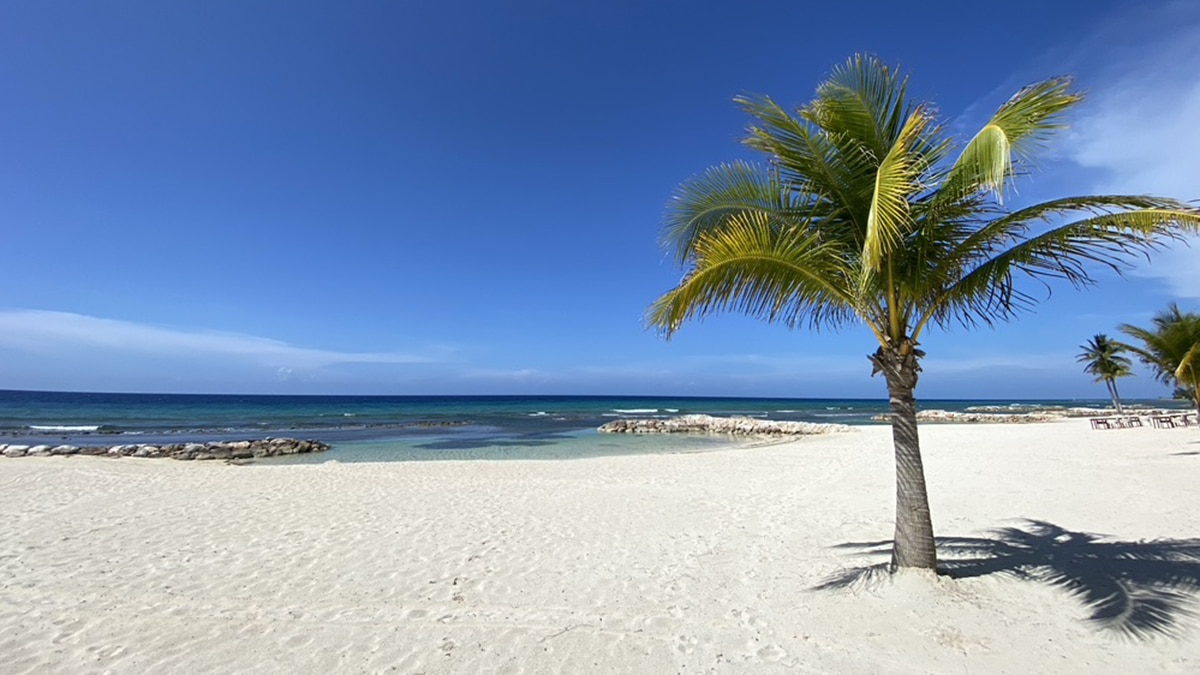 Jamaica Tourist Board Names New Executive for Americas Region