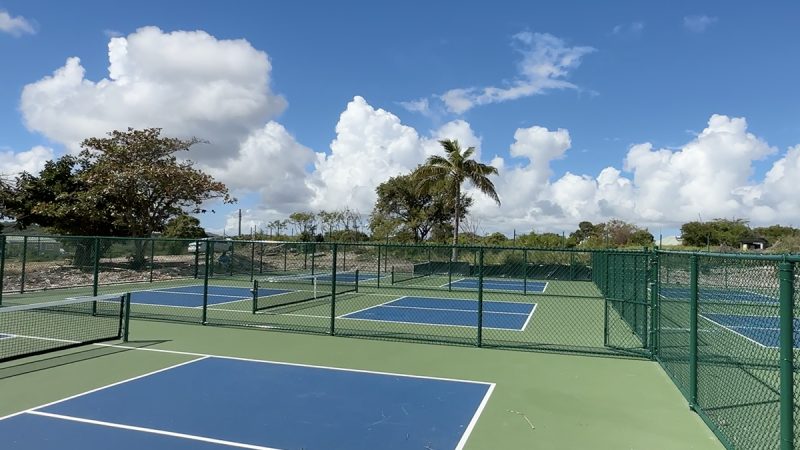 The Best Caribbean Resorts for Pickleball