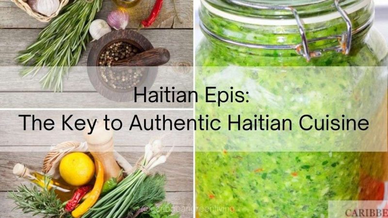Haitian Epis: The Key to Authentic Haitian Cuisine