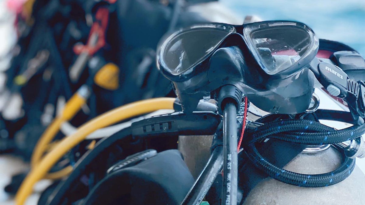 In Grenada, a Different Kind of Caribbean Dive Festival  