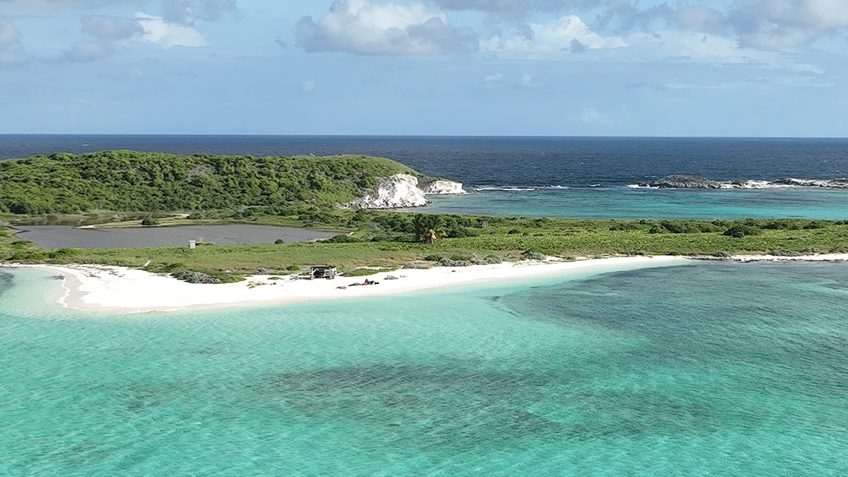 New Dive Festival Begins in The Bahamas