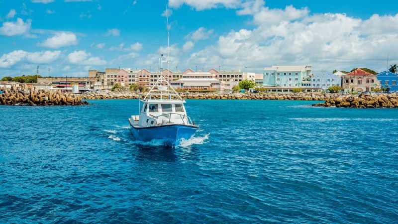 Discover the Thrill of Fishing in Barbados