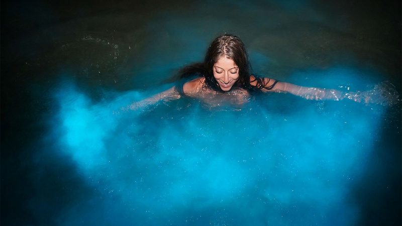Bask In The Glow Of Luminous Lagoon, Jamaica
