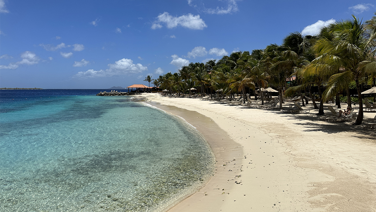 Winair Is Relaunching St Maarten-Bonaire Flights 