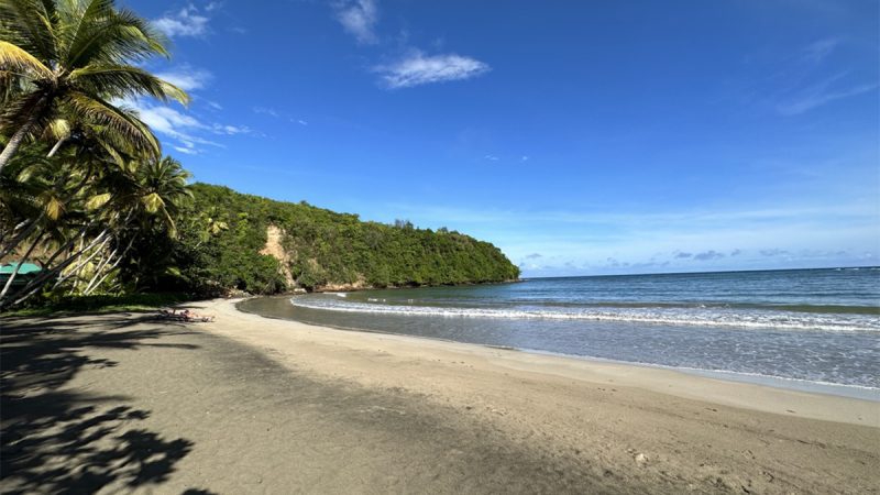 10 Caribbean Beaches for the Perfect Summer Vacation