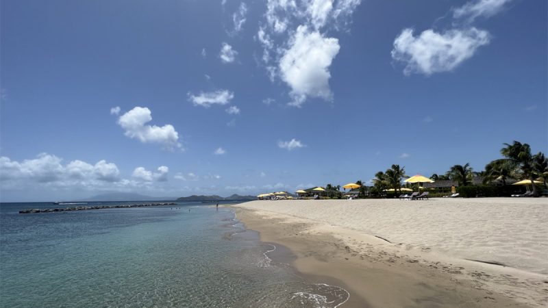 In Nevis, the Art of the Tiny Caribbean Island 