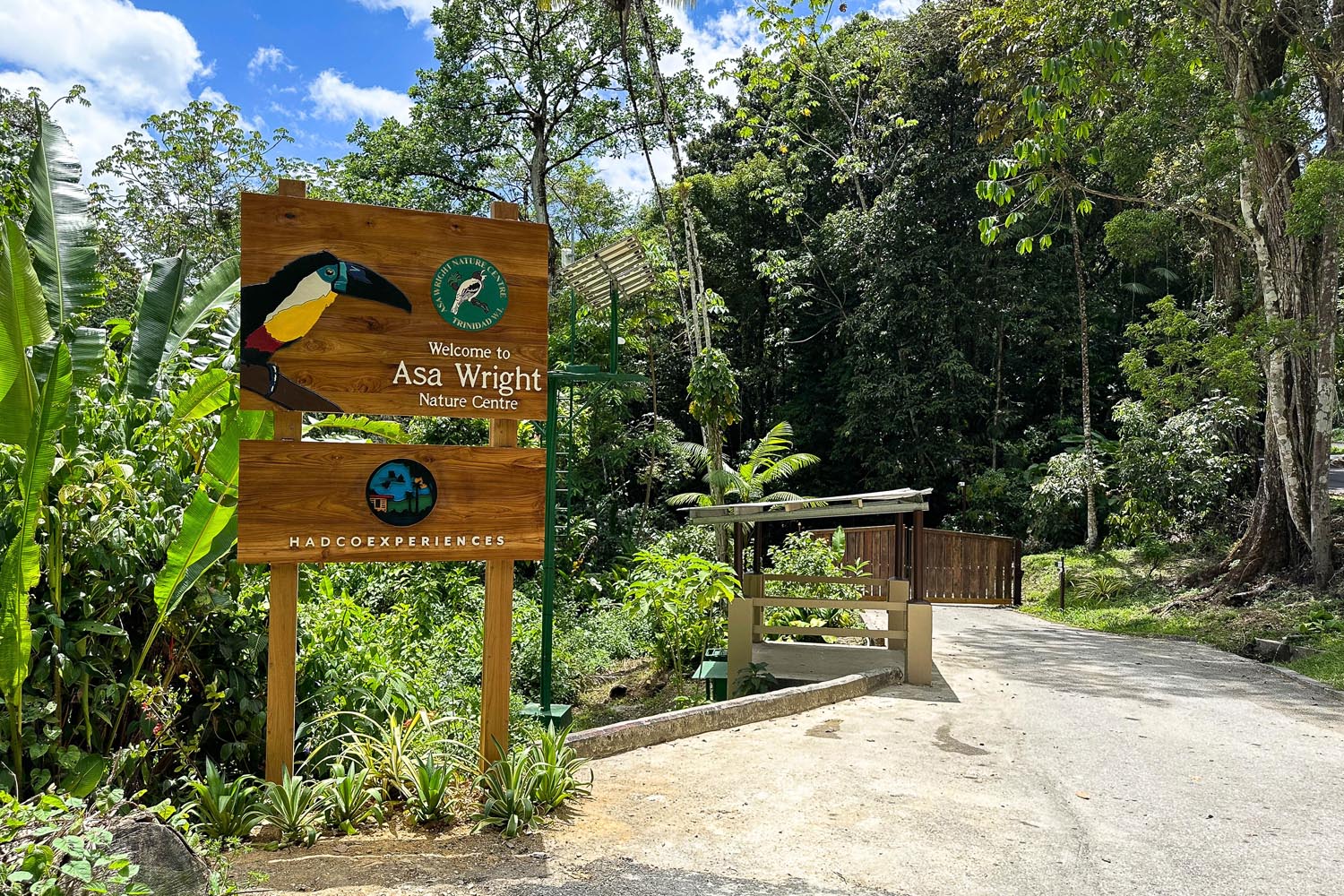The phoenix of the Arima Valley