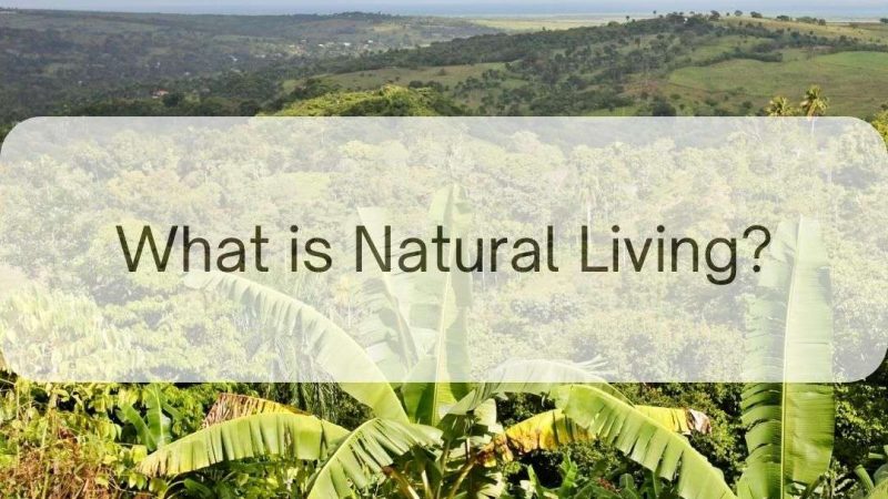 What is Natural Living?