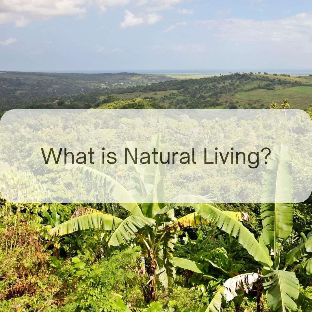 What is Natural Living?