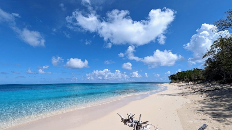Caribbean Photo of the Week: Buck Island, St Croix