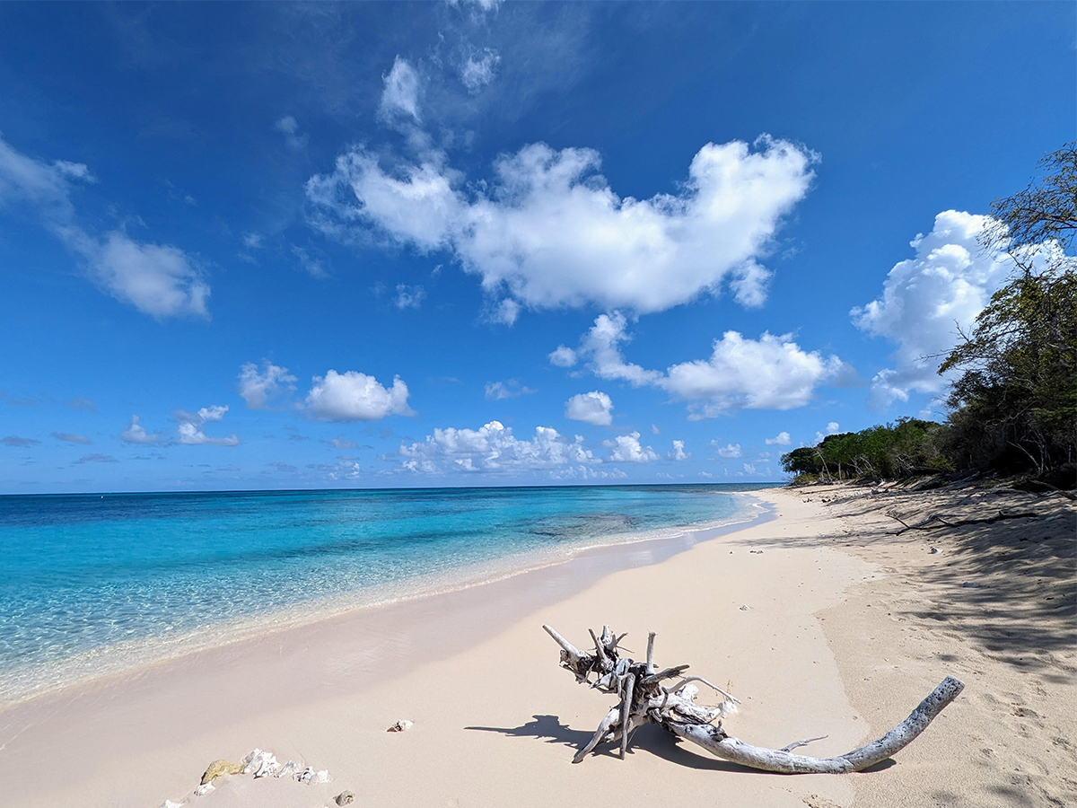 Caribbean Photo of the Week: Buck Island, St Croix