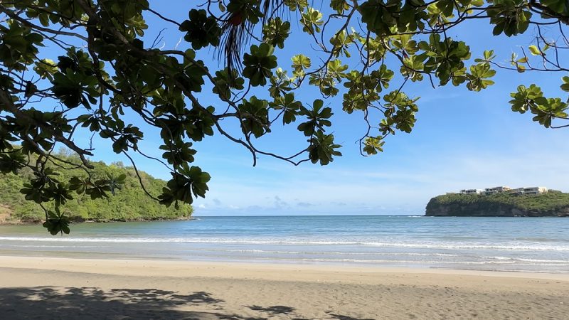 Caribbean Moment: La Sagesse Beach, Grenada 