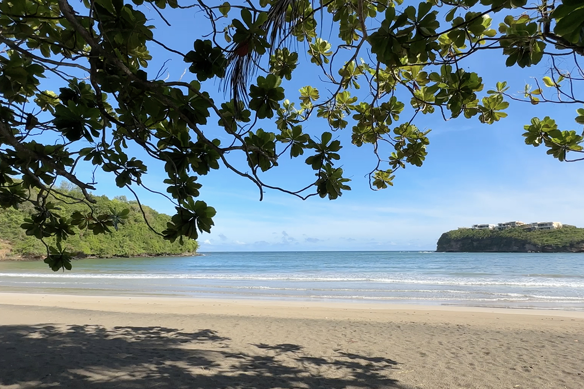 Caribbean Moment: La Sagesse Beach, Grenada 