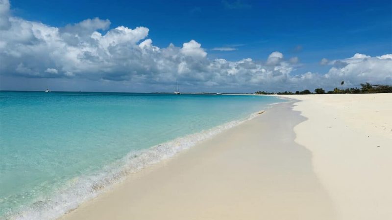 Caribbean Journal