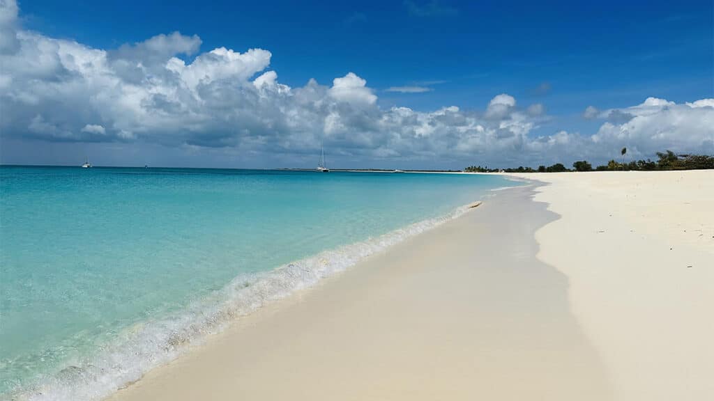 Caribbean Journal