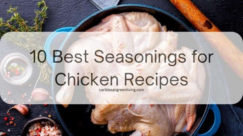 10 Best Seasonings for Chicken Recipes
