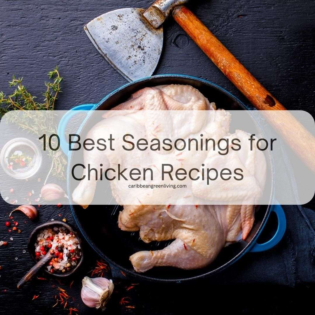 10 Best Seasonings for Chicken Recipes