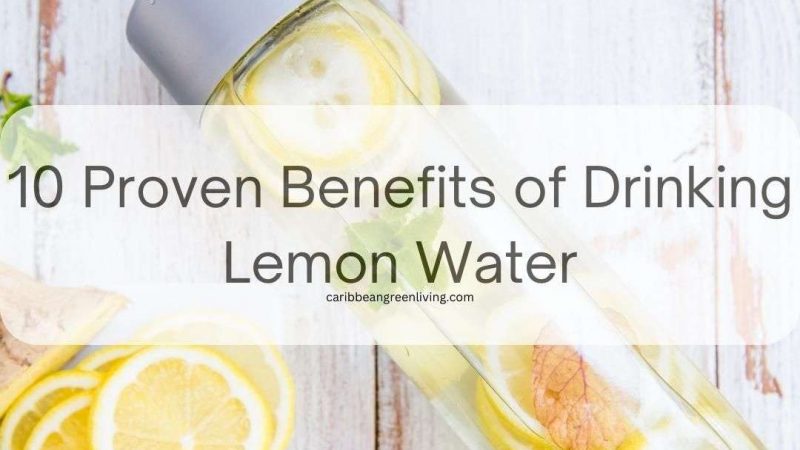10 Proven Benefits of Drinking Lemon Water