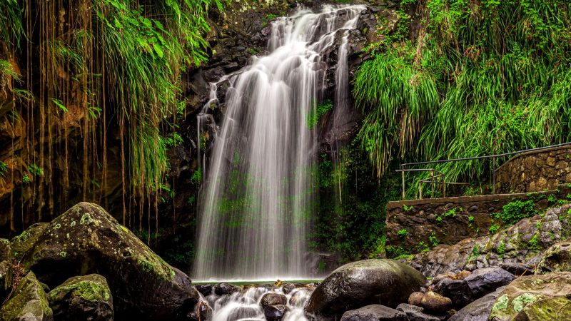 Explore Annandale Falls & Forest Park In Grenada