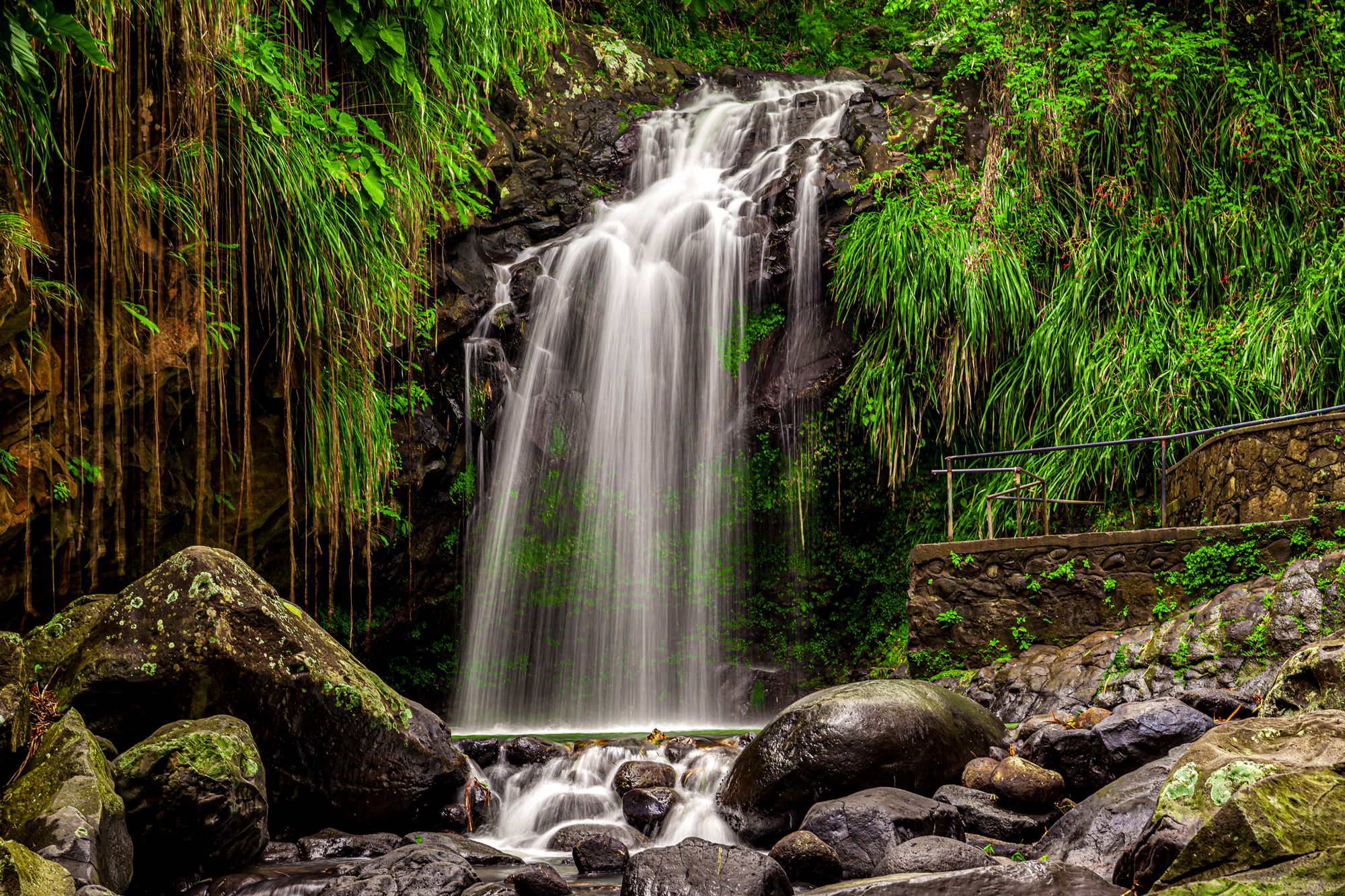 Explore Annandale Falls & Forest Park In Grenada