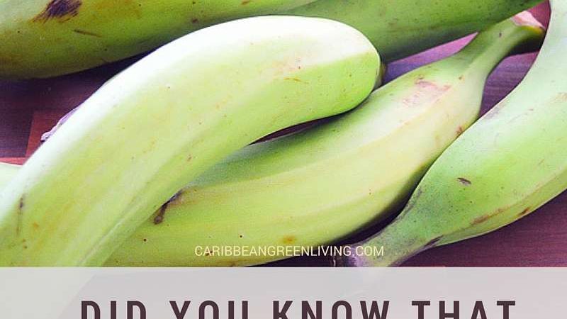 The Different Types of Plantains: What to Know and How
