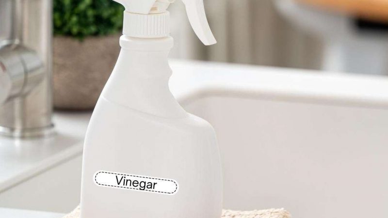 4 reasons Why I Keep a Vinegar Spray Bottle in