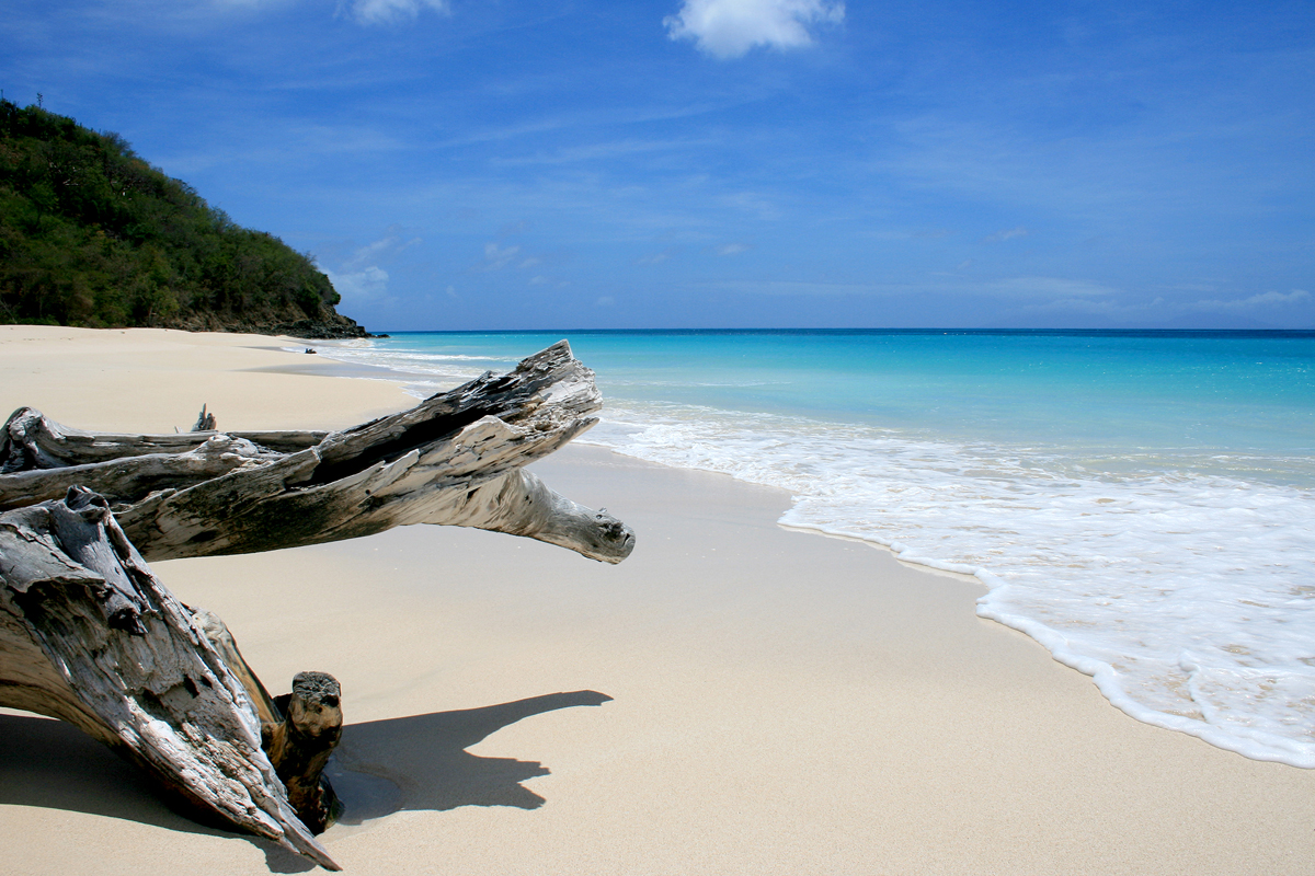 Caribbean islands take aim at global carbon polluters