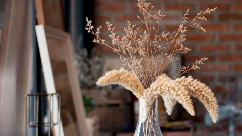 How to Embrace Minimalist Living