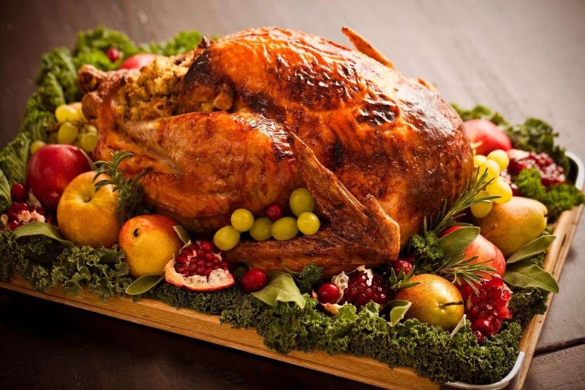 Thanksgiving Turkey 101: From Thawing to Carving, Your Essential Guide ...