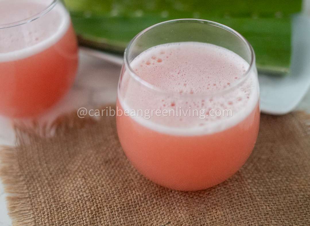 Sunshine in a Sip: Aloe Vera Citrus Juice