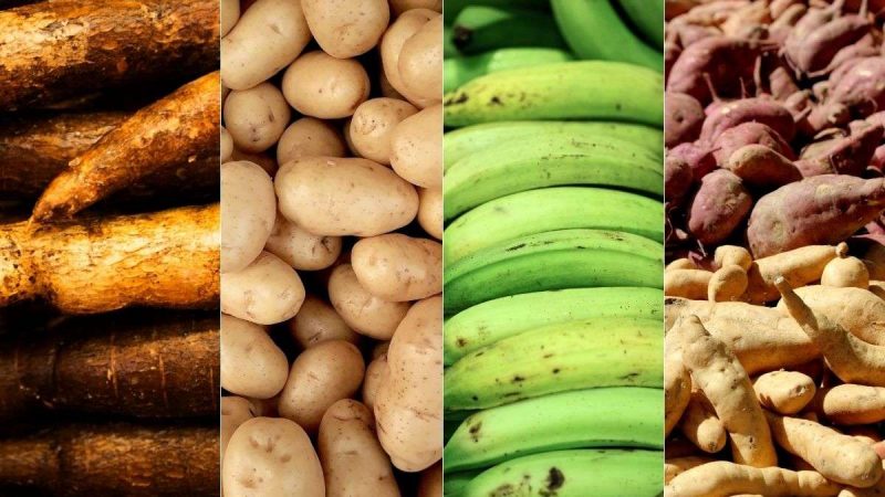 4 Delicious Carbohydrate-Rich Vegetables to Boost Your Weekly Meal Plan