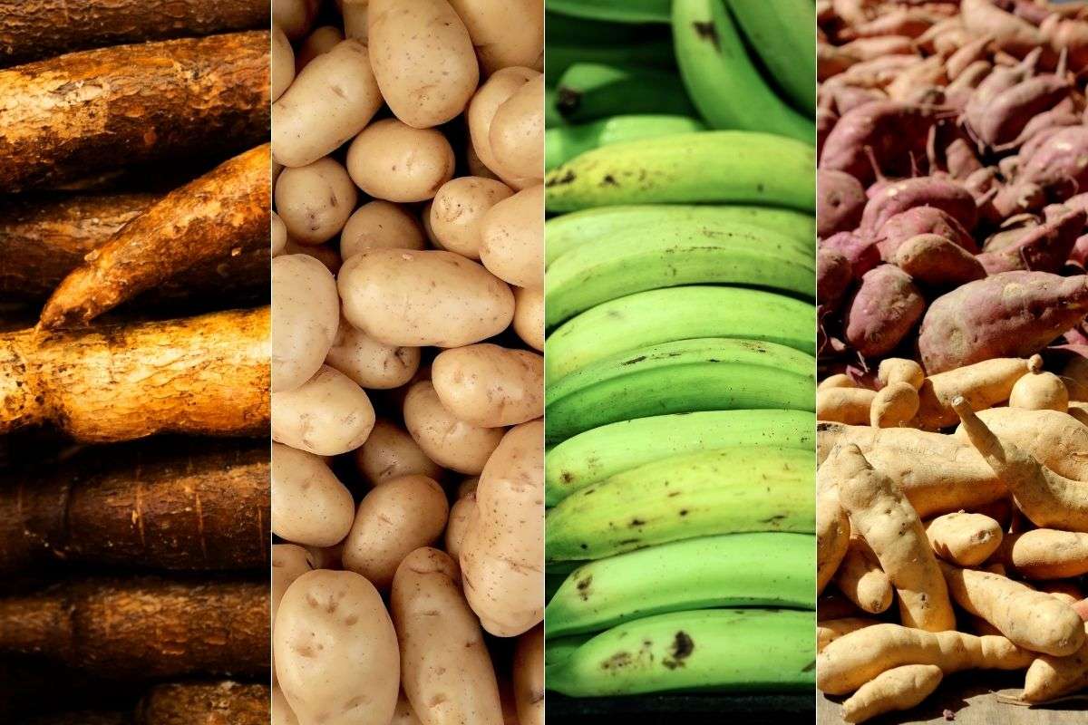 4 Delicious CarbohydrateRich Vegetables to Boost Your Weekly Meal Plan