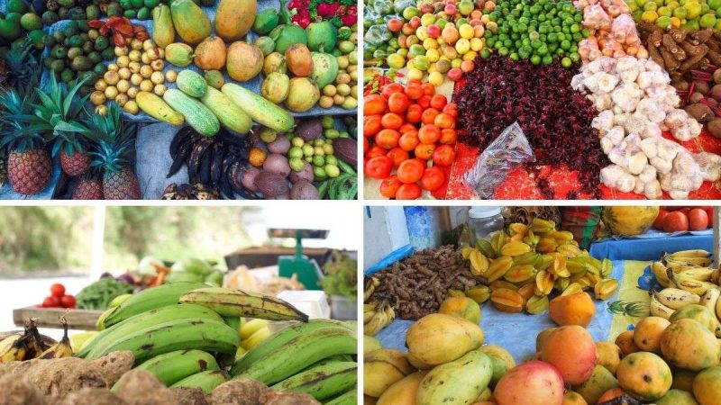Your Passport to Paradise: Haitian Cuisine on a Budget Adventure