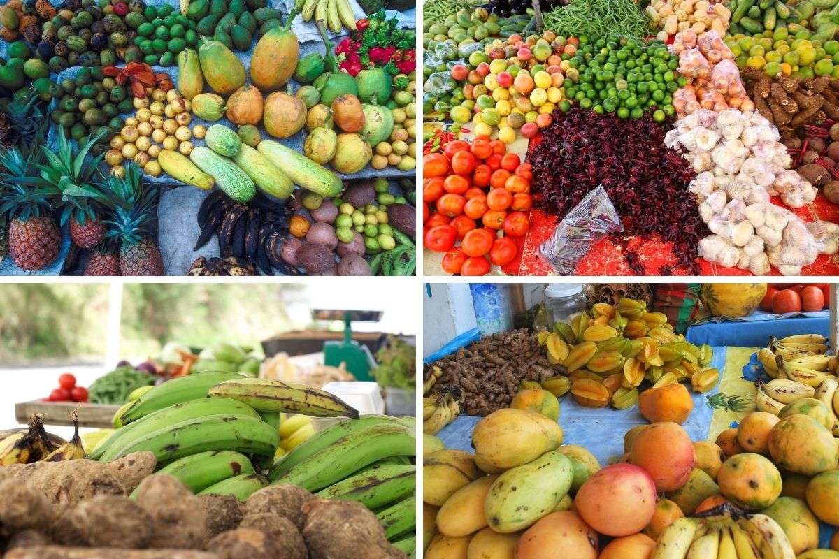 Your Passport to Paradise: Haitian Cuisine on a Budget Adventure