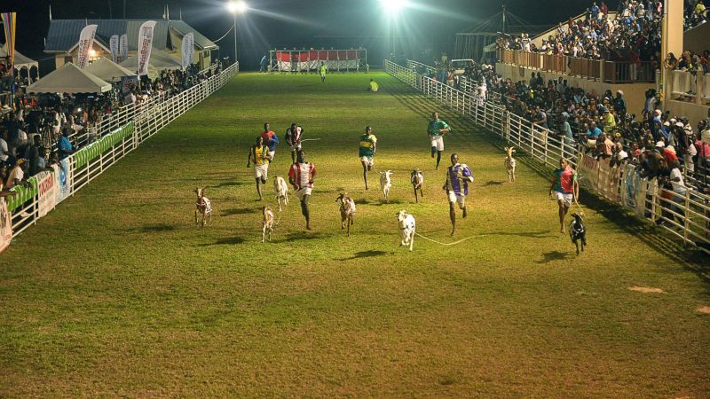 Running with the goats (and crabs) in Tobago