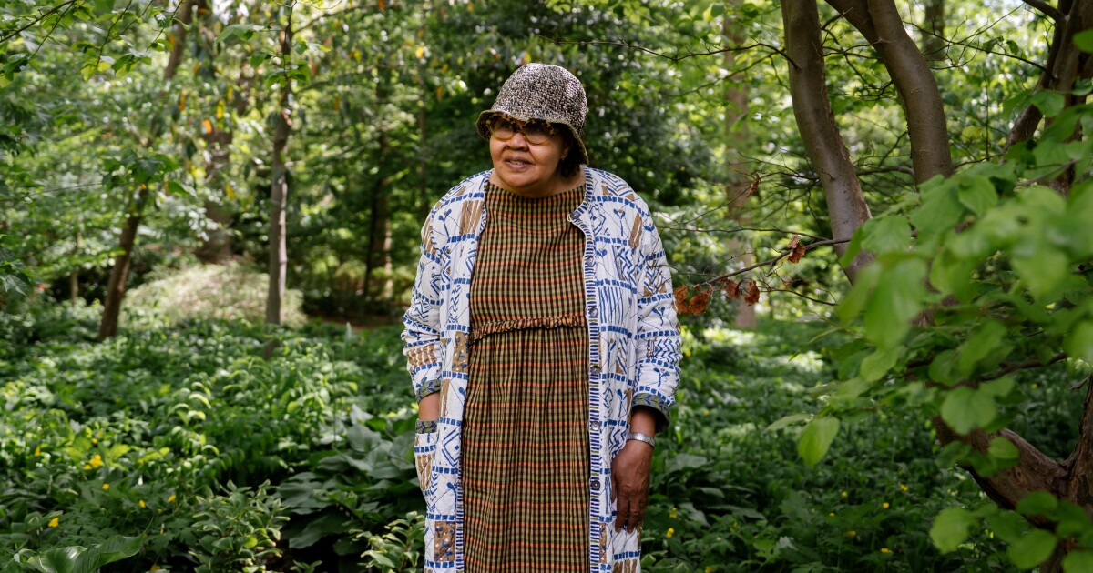 Writer Jamaica Kincaid to receive 2024 St. Louis Literary Award