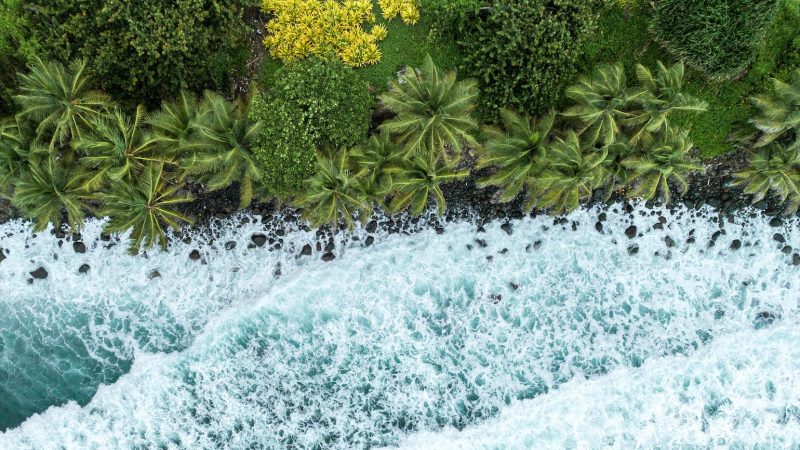 Unearthing Sandals Saint Vincent and the Grenadines