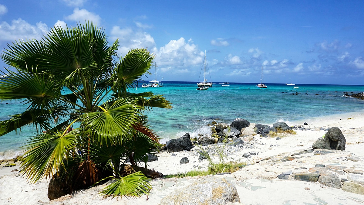 Caribbean Photo of the Week: Boca Catalina Beach in Aruba
